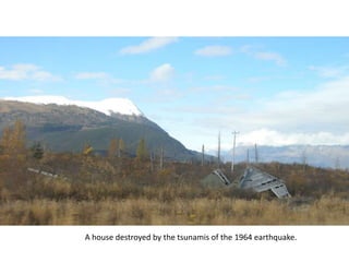 A house destroyed by the tsunamis of the 1964 earthquake.