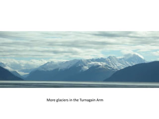 More glaciers in the Turnagain Arm