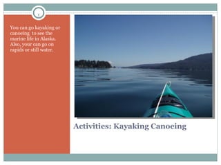 Activities: Kayaking Canoeing  You can go kayaking or canoeing  to see the marine life in Alaska. Also, your can go on rapids or still water. 