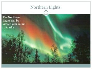 Northern Lights  The Northern Lights can be viewed year round in Alaska 