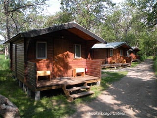 Brooks Lodge Cabins