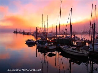 Juneau Boat Harbor At Sunset
