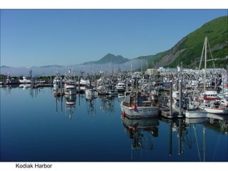 Kodiak Harbor