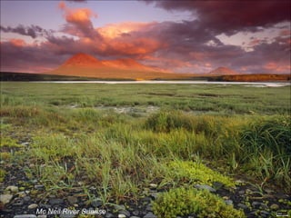 Mc Neil River Sunrise