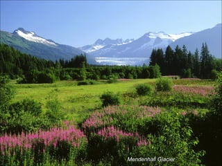 Mendenhall Glacier