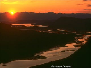 Gastineau Channel