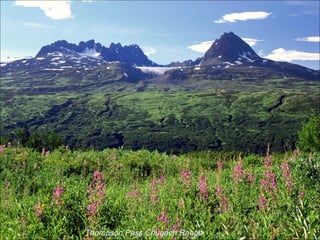 Thompson Pass Chugach Range