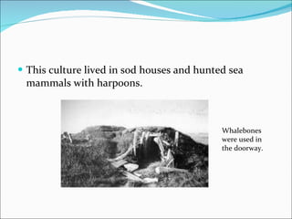 This culture lived in sod houses and hunted sea mammals with harpoons. Whalebones were used in the doorway. 