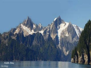 Aialik Bay 