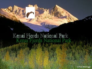 Kenai Fjords National Park 