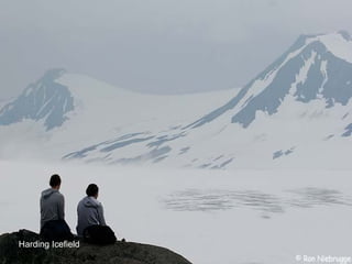 Harding Icefield 