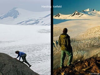 Harding  Icefield 