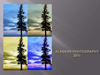Alaskan Photography2011 