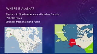 WHERE IS ALASKA?
Alsaka is in North America and borders Canada
591,000 miles
50 miles from mainland russia
 