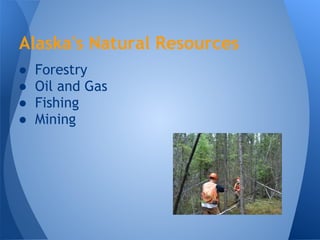 Alaska's Natural Resources
●   Forestry
●   Oil and Gas
●   Fishing
●   Mining
 