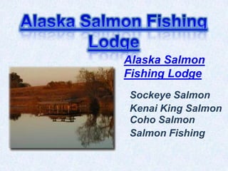 Alaska Salmon
Fishing Lodge
Sockeye Salmon
Kenai King Salmon
Coho Salmon
Salmon Fishing
 