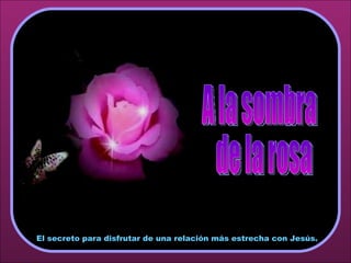 ♫  Enciende los altavoces HAZ CLIC PARA AVANZAR A la sombra de la rosa El secreto para disfrutar de una relación más estrecha con Jesús. 