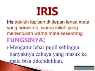 IRIS
Iris adalah lapisan di depan lensa mata
yang berwarna, warna inilah yang
menentukah warna mata seseorang
FUNGSINYA:
 Mengatur lebar pupil sehingga
banyaknya cahaya yang masuk ke
mata bisa dikendalikan.
Kembali
 