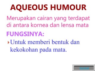 AQUEOUS HUMOUR
Merupakan cairan yang terdapat
di antara kornea dan lensa mata
FUNGSINYA:
Untuk memberi bentuk dan
kekokohan pada mata.
Kembali
 