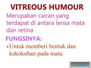 VITREOUS HUMOUR
Merupakan cairan yang
terdapat di antara lensa mata
dan retina
FUNGSINYA:
Untuk memberi bentuk dan
kekokohan pada mata.
Kembali
 
