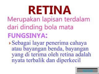 RETINA
Merupakan lapisan terdalam
dari dinding bola mata
FUNGSINYA:
Sebagai layar penerima cahaya
atau bayangan benda, bayangan
yang di terima oleh retina adalah
nyata terbalik dan diperkecil
Kembali
 