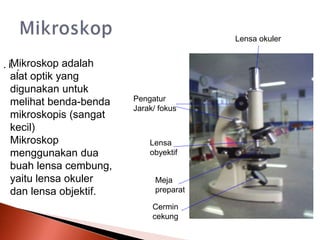 Lensa okuler
Pengatur
Jarak/ fokus
Lensa
obyektif
Meja
preparat
Cermin
cekung
Mikroskop adalah
alat optik yang
digunakan untuk
melihat benda-benda
mikroskopis (sangat
kecil)
Mikroskop
menggunakan dua
buah lensa cembung,
yaitu lensa okuler
dan lensa objektif.
.
i
. .
 