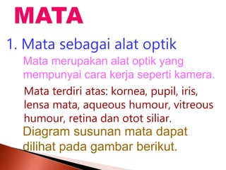 Mata merupakan alat optik yang
mempunyai cara kerja seperti kamera.
1. Mata sebagai alat optik
Mata terdiri atas: kornea, pupil, iris,
lensa mata, aqueous humour, vitreous
humour, retina dan otot siliar.
Diagram susunan mata dapat
dilihat pada gambar berikut.
 