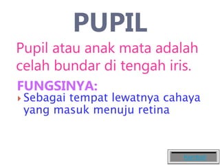PUPIL
Pupil atau anak mata adalah
celah bundar di tengah iris.
FUNGSINYA:
 Sebagai tempat lewatnya cahaya
yang masuk menuju retina
Kembali
 