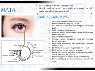 Upil Besar Alat-alat Optik.pptx