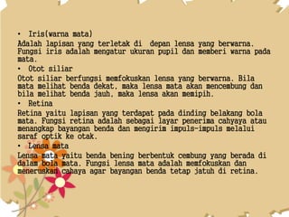 • Iris(warna mata)
Adalah lapisan yang terletak di depan lensa yang berwarna.
Fungsi iris adalah mengatur ukuran pupil dan memberi warna pada
mata.
• Otot siliar
Otot siliar berfungsi memfokuskan lensa yang berwarna. Bila
mata melihat benda dekat, maka lensa mata akan mencembung dan
bila melihat benda jauh, maka lensa akan memipih.
• Retina
Retina yaitu lapisan yang terdapat pada dinding belakang bola
mata. Fungsi retina adalah sebagai layar penerima cahyaya atau
menangkap bayangan benda dan mengirim impuls-impuls melalui
saraf optik ke otak.
• Lensa mata
Lensa mata yaitu benda bening berbentuk cembung yang berada di
dalam bola mata. Fungsi lensa mata adalah memfokuskan dan
meneruskan cahaya agar bayangan benda tetap jatuh di retina.
 