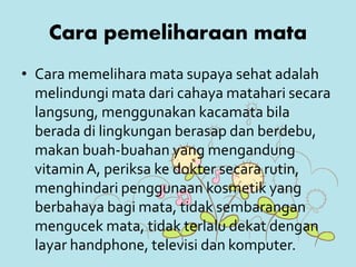 Cara pemeliharaan mata
• Cara memelihara mata supaya sehat adalah
melindungi mata dari cahaya matahari secara
langsung, menggunakan kacamata bila
berada di lingkungan berasap dan berdebu,
makan buah-buahan yang mengandung
vitaminA, periksa ke dokter secara rutin,
menghindari penggunaan kosmetik yang
berbahaya bagi mata, tidak sembarangan
mengucek mata, tidak terlalu dekat dengan
layar handphone, televisi dan komputer.
 