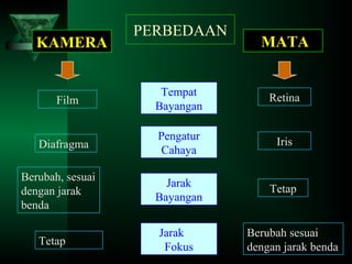 KAMERA

Film

Diafragma
Berubah, sesuai
dengan jarak
benda
Tetap

PERBEDAAN

MATA

Tempat
Bayangan

Retina

Pengatur
Cahaya

Iris

Jarak
Bayangan

Tetap

Jarak
Fokus

Berubah sesuai
dengan jarak benda

 