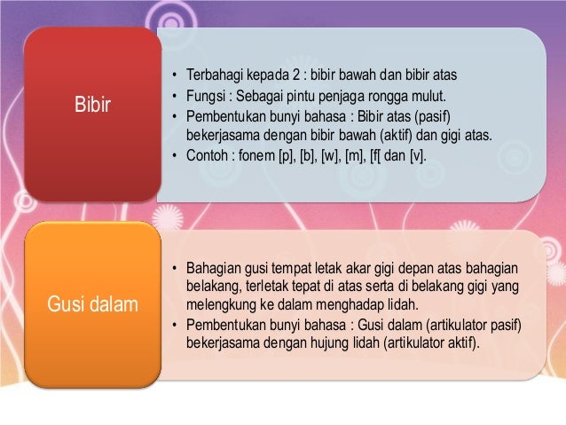Fonetik Dan Fonologi Alat Alat Artikulasi