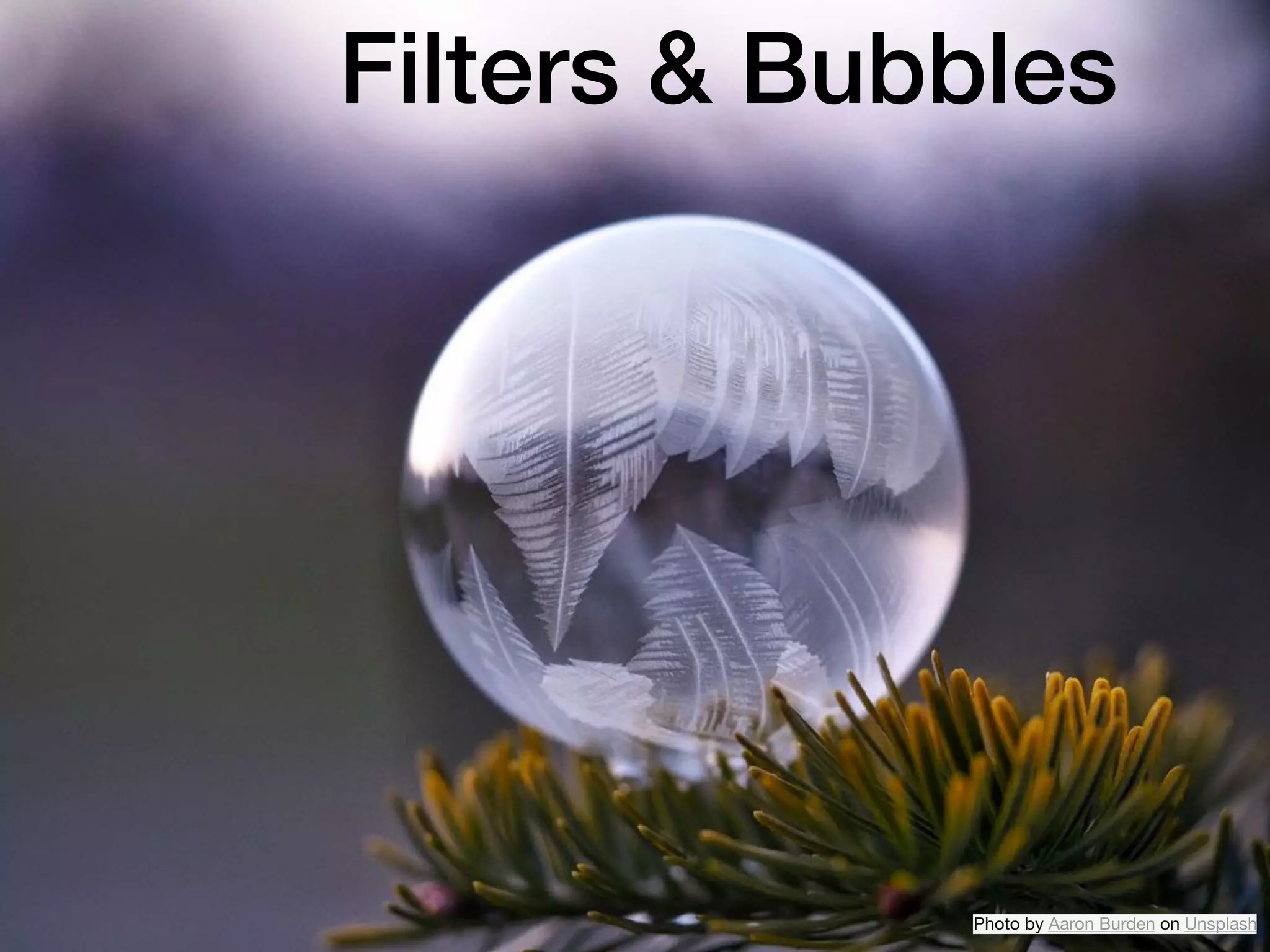 Filters & Bubbles
Photo by Aaron Burden on Unsplash
 
