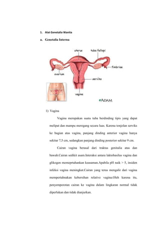 1. Alat Genetalia Wanita

a. Genetalia Interna

1) Vagina
Vagina merupakan suatu tuba berdinding tipis yang dapat
melipat dan mampu meregang secara luas. Karena tonjolan serviks
ke bagian atas vagina, panjang dinding anterior vagina hanya
sekitar 7,5 cm, sedangkan panjang dinding posterior sekitar 9 cm.
Cairan vagina berasal dari traktus genitalia atas dan
bawah.Cairan sedikit asam.Interaksi antara laktobasilus vagina dan
glikogen memeprtahankan keasaman.Apabila pH naik > 5, insiden
infeksi vagina meningkat.Cairan yang terus mengalir dari vagina
mempertahnakan kebersihan relative vagina.Oleh karena itu,
penyemporotan cairan ke vagina dalam lingkaran normal tidak
diperlukan dan tidak dianjurkan.

 