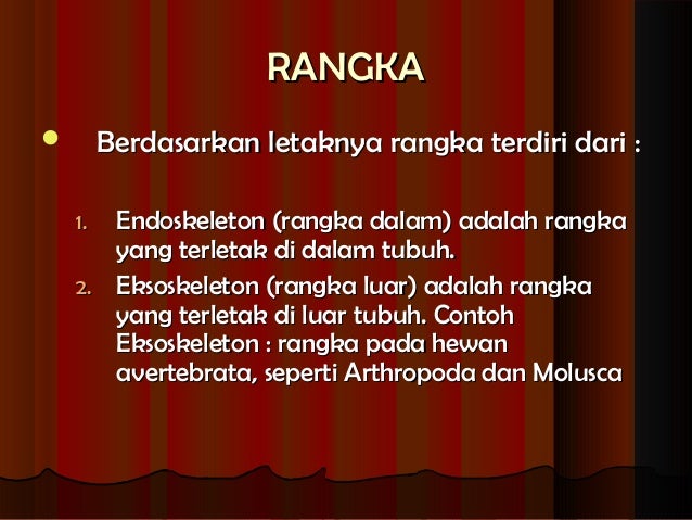 Alat gerak manusia Alat gerak manusia