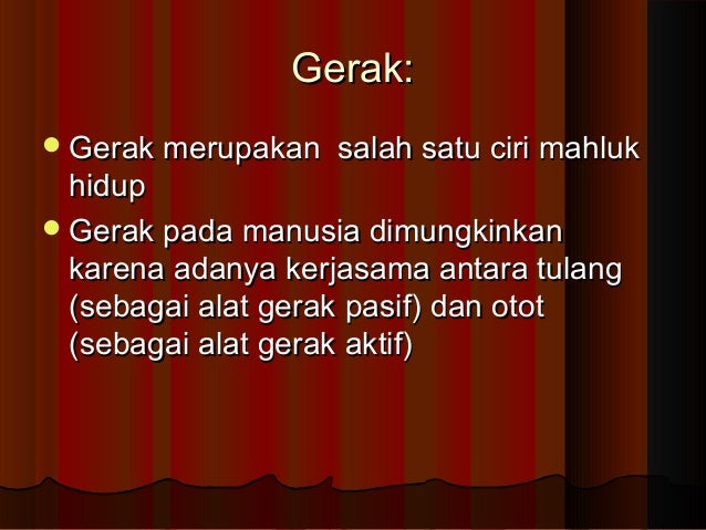 Alat gerak pasif Biologi kelas XI Alat gerak pasif Biologi kelas XI