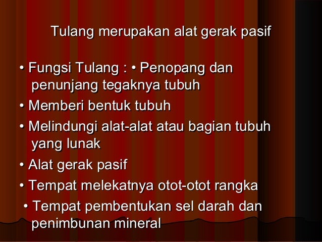 Alat gerak pasif Biologi kelas XI Alat gerak pasif Biologi kelas XI