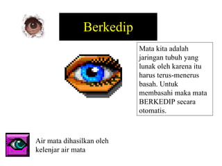 Berkedip Mata kita adalah jaringan tubuh yang lunak oleh karena itu harus terus-menerus basah. Untuk membasahi maka mata BERKEDIP secara otomatis. Air mata dihasilkan oleh kelenjar air mata 