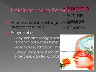  Anosmia adalah kehilangan sensitivitas
terdapat rasa bau
 Penyebab :
› Penyumbatan rongga hidung akibat pilek,
terdapat polip atau tumor di rongga hidung
› Sel rambut rusak akibat infeksi kronis
› Gangguan pada saraf olfaktori, bulbus
olfaktorius, dan trakus olfaktorius
• Anosmia
• Mimisan
• Salesma
• Influenza
 