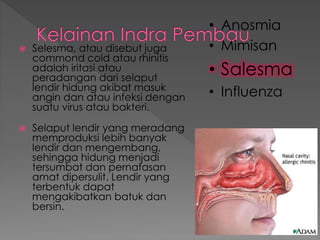  Selesma, atau disebut juga
commond cold atau rhinitis
adalah iritasi atau
peradangan dari selaput
lendir hidung akibat masuk
angin dan atau infeksi dengan
suatu virus atau bakteri.
 Selaput lendir yang meradang
memproduksi lebih banyak
lendir dan mengembang,
sehingga hidung menjadi
tersumbat dan pernafasan
amat dipersulit. Lendir yang
terbentuk dapat
mengakibatkan batuk dan
bersin.
• Anosmia
• Mimisan
• Salesma
• Influenza
 