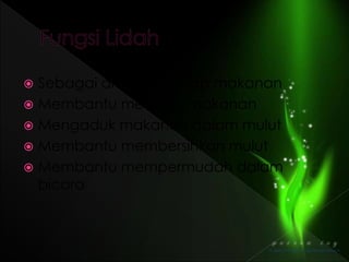  Sebagai alat pengecap makanan
 Membantu menelan makanan
 Mengaduk makanan dalam mulut
 Membantu membersihkan mulut
 Membantu mempermudah dalam
bicara
 