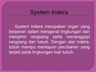 System Indera
System indera merupakan organ yang
berperan dalam mengenal lingkungan dan
mengirim rangsang serta menanggapi
rangsang dari tubuh. Dengan alat indera,
tubuh mampu merespon perubahan yang
terjadi pada lingkungan luar tubuh.
 