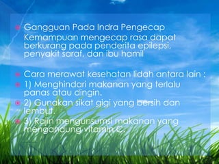  Gangguan Pada Indra Pengecap
Kemampuan mengecap rasa dapat
berkurang pada penderita epilepsi,
penyakit saraf, dan ibu hamil
 Cara merawat kesehatan lidah antara lain :
 1) Menghindari makanan yang terlalu
panas atau dingin.
 2) Gunakan sikat gigi yang bersih dan
lembut.
 3) Rajin mengunsumsi makanan yang
mengandung vitamin C.
 