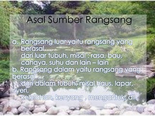 Asal Sumber Rangsang
 