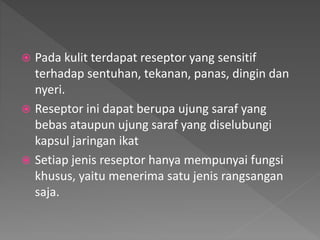  Pada kulit terdapat reseptor yang sensitif
terhadap sentuhan, tekanan, panas, dingin dan
nyeri.
 Reseptor ini dapat berupa ujung saraf yang
bebas ataupun ujung saraf yang diselubungi
kapsul jaringan ikat
 Setiap jenis reseptor hanya mempunyai fungsi
khusus, yaitu menerima satu jenis rangsangan
saja.
 