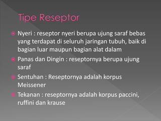  Nyeri : reseptor nyeri berupa ujung saraf bebas
yang terdapat di seluruh jaringan tubuh, baik di
bagian luar maupun bagian alat dalam
 Panas dan Dingin : reseptornya berupa ujung
saraf
 Sentuhan : Reseptornya adalah korpus
Meissener
 Tekanan : reseptornya adalah korpus paccini,
ruffini dan krause
 
