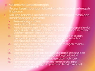  Mekanisme Keseimbangan
1. Proses keseimbangan dilakukan oleh saluran setengah
lingkaran
2. Saluran tersebut mendeteksi keseimbangan rotasi dan
keseimbangan gravitasi
 Keseimbangan rotasi
a. Melibatkan 3 saluran setengah lingkaran
b. Pada bagian dasar ketiga saluran tersebut terdapat struktur
yang disebut ampula, didalam ampula terdapat sel rambut
didalam gelatin disebut kupula
c. Pada saat cairan didalam saluran setengah lingkaran
mengalir, kupula bergerak sesuai dengan arah aliran
sehingga menimbulkan impuls-impuls saraf
d. Impuls-impuls saraf tersebut kemudian mengalir melalui
saraf vestibular menuju otak
 Keseimbangan gravitasi
a. Keseimbangan gravitasi bergantung pada utrikulus dan
sakulus yang didalamnya mengandung batu otolit
b. Utrikulus sangat peka terhadap gerakan naik turun
c. Pergerakan batu otolit akan menekan ujung saraf
keseimbangan sehingga impuls akan terkirim kepusat
keseimbangan otak
 