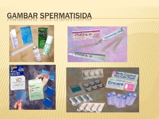 GAMBAR SPERMATISIDA
 