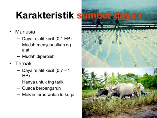 ITP UNS Semester 3, Pangan dan Gizi: Alat & mesin pertanian